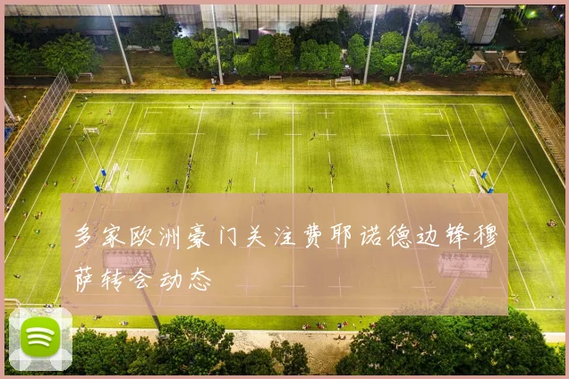 多家欧洲豪门关注费耶诺德边锋穆萨转会动态