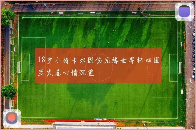 18岁小将卡尔因伤无缘世界杯回国显失落心情沉重